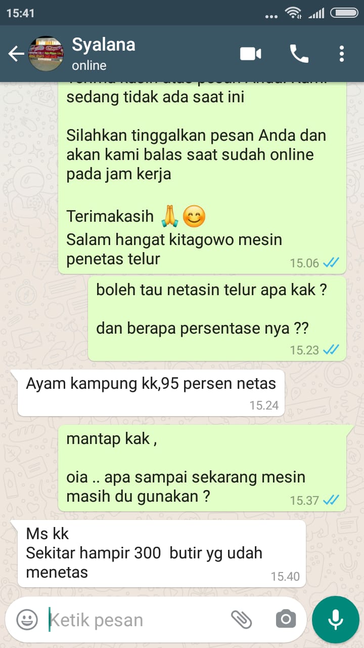 TESTI AYAM