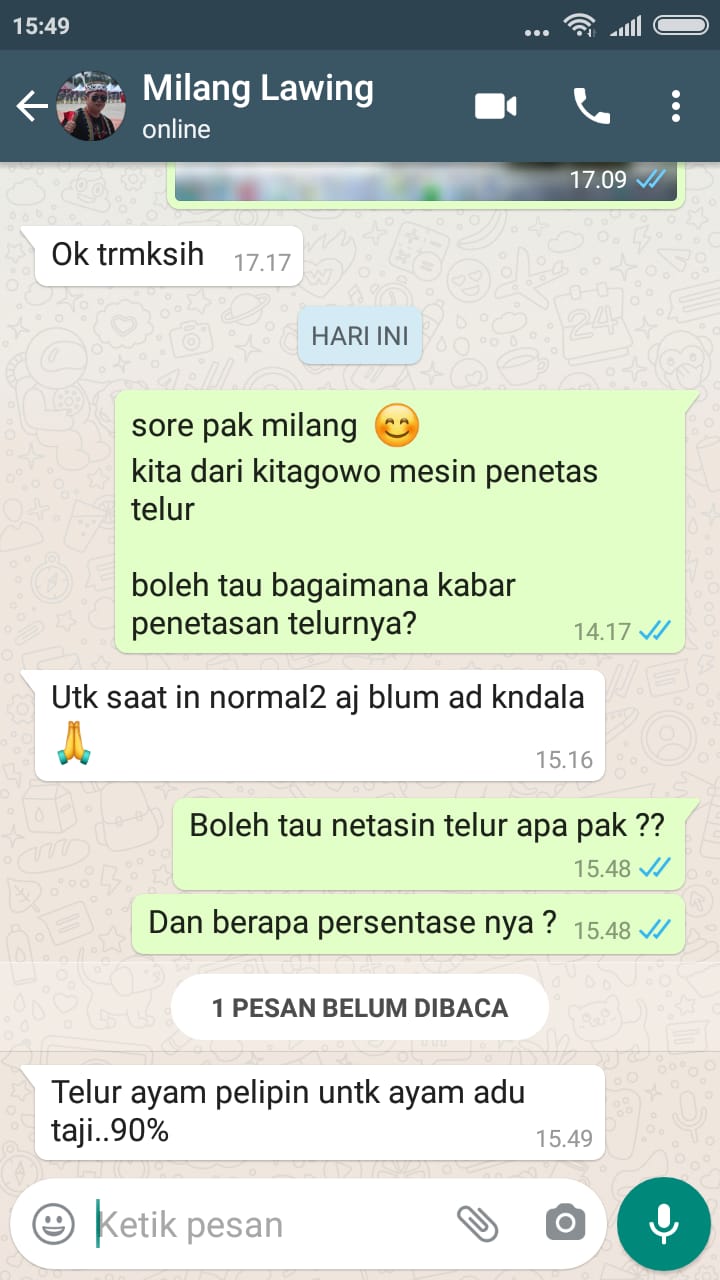 TESTI AYAM