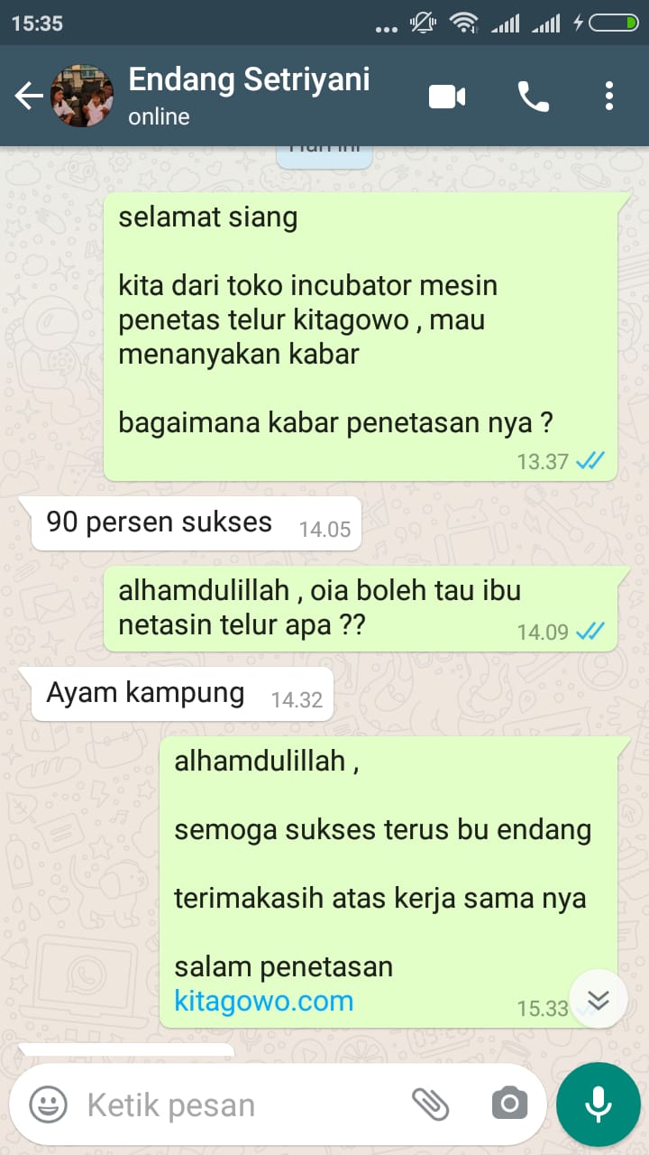 TESTI AYAM