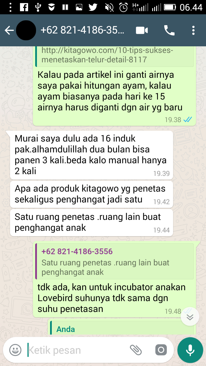 TESTI BURUNG