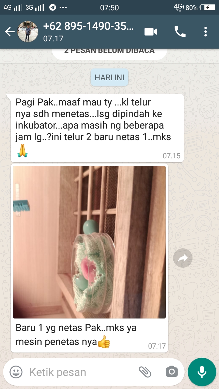 TESTI BURUNG